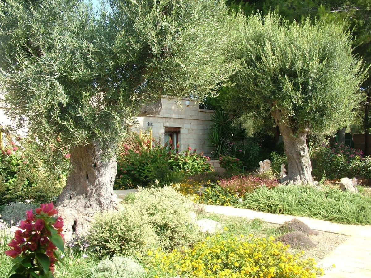 Villa Urania Torre San Giovanni Ugento Zewnętrze zdjęcie